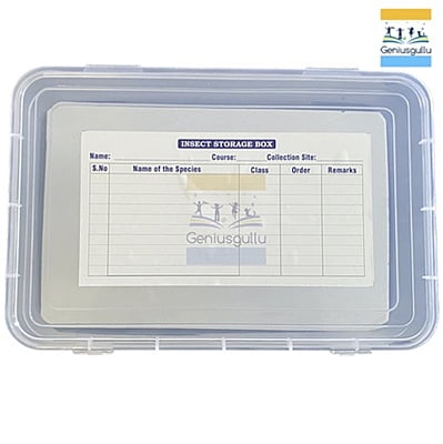 Insect Storage Box Economical